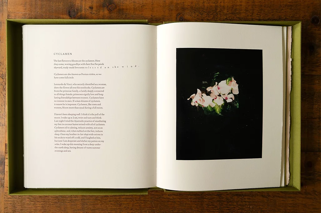 Books — Cig Harvey